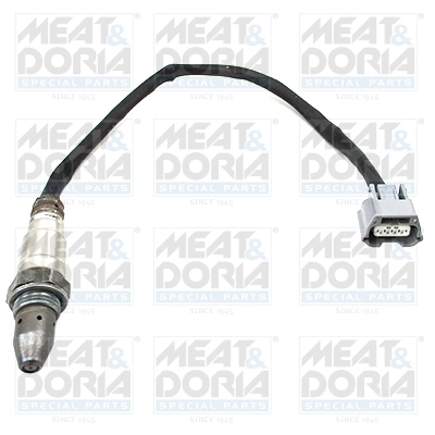 Oxygen Sensor